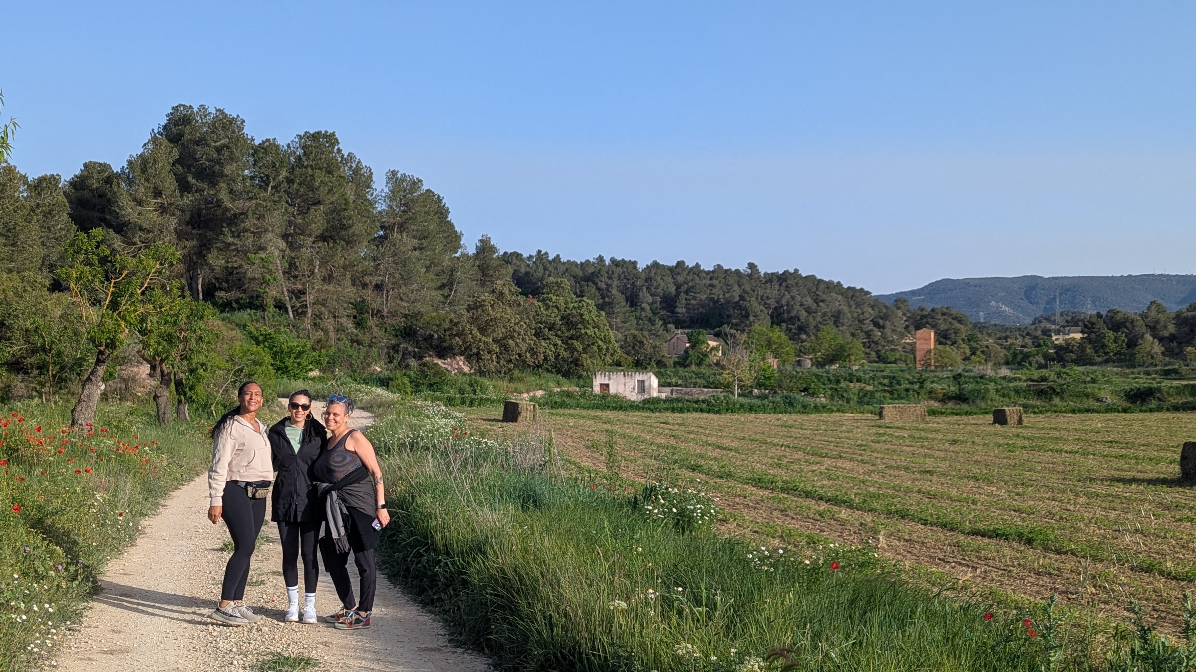 4 walk to orchard journaling