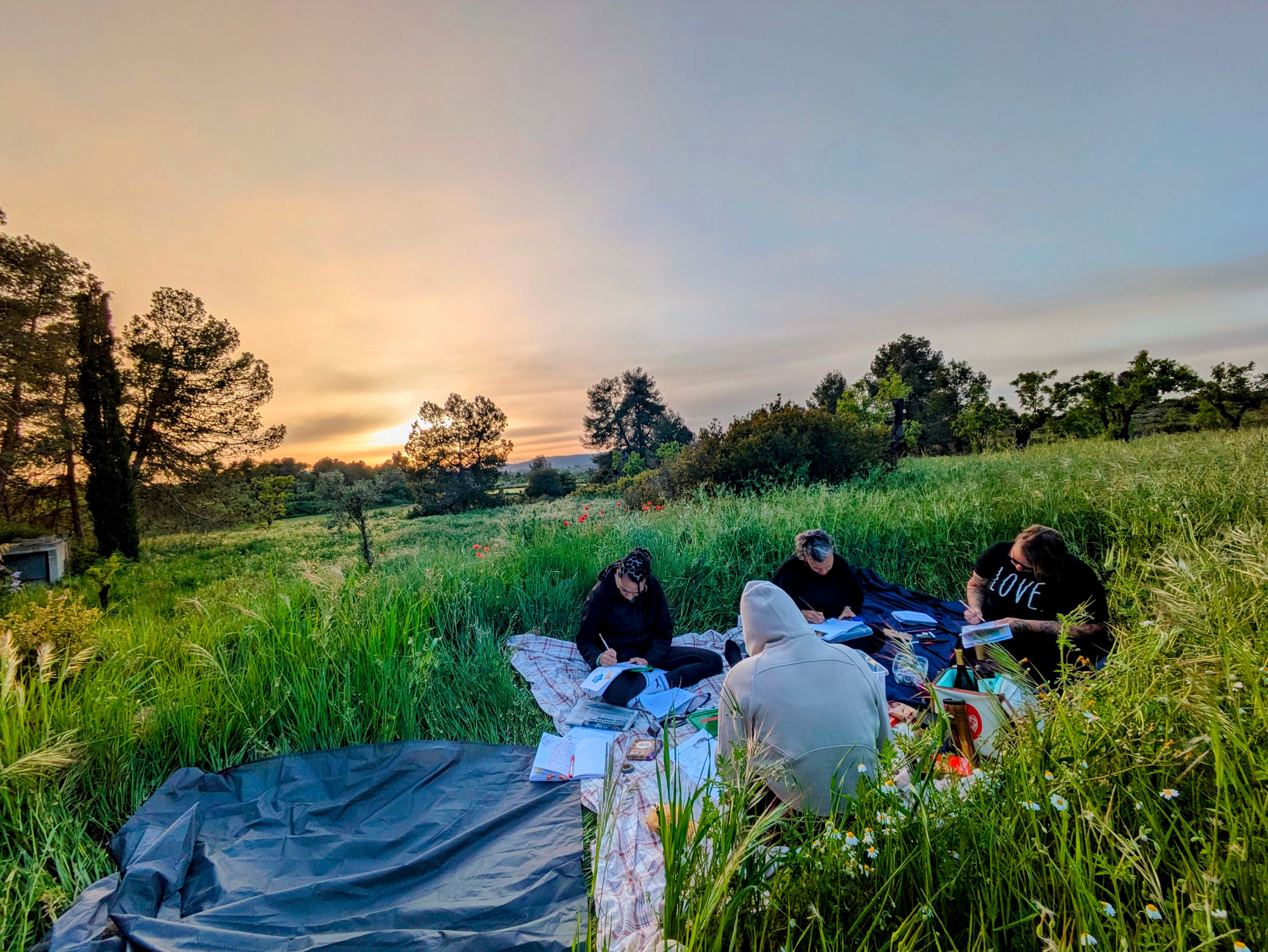  journaling experience in an almond grove