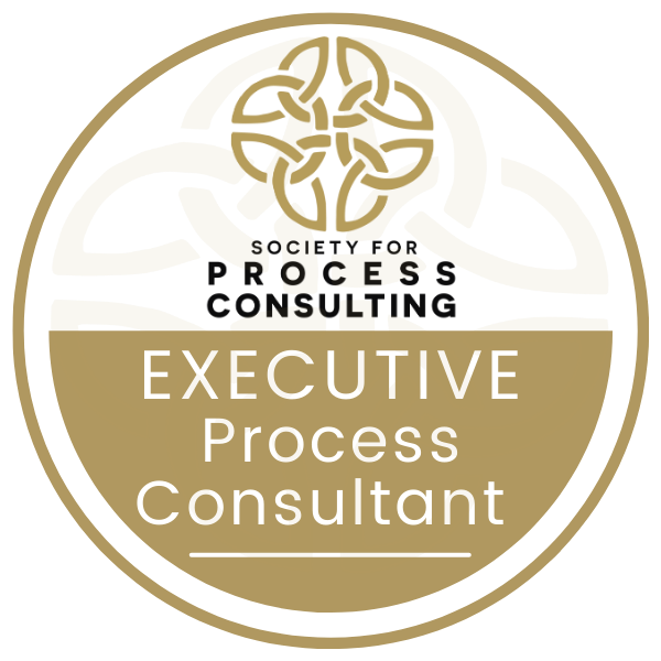 Executive Process Consultant