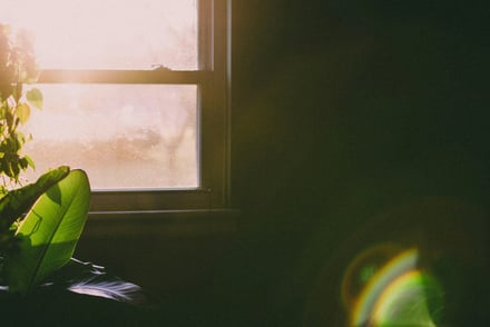 Leading Through Change: What Emergent Strategy Teaches Us About Adaptive Leadership